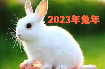 2023年属什么生肖(2023年属于什么生肖)