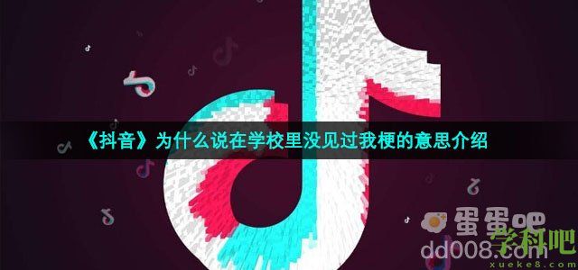 抖音为什么说在学校里没见过我是什么梗