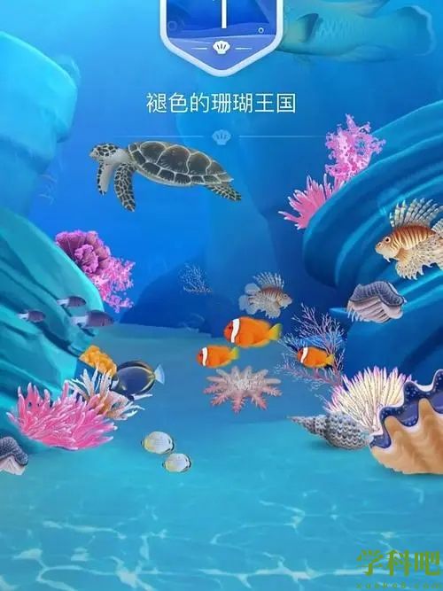 抹香鲸和翻车鱼哪种海洋生物爱晒太阳-支付宝神奇海洋2月23日答案