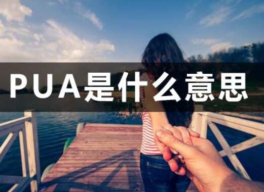 PUA是什么网络用语(PUA是什么意思)