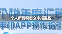 个人所得税怎么申报退税(个人所得税怎么申报退税奖金怎么选退的多)