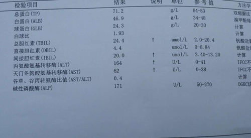 丙氨酸氨基转移酶偏高说明什么(丙氨酸氨基转移酶偏高)