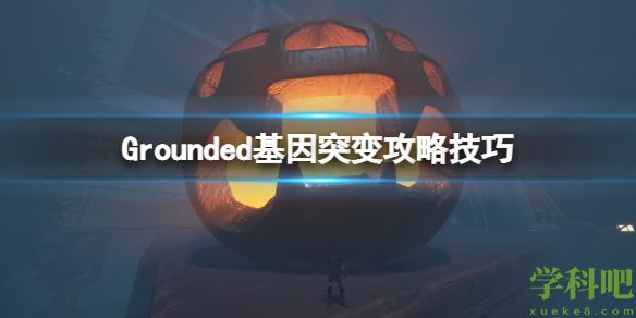 Grounded基因突变攻略技巧