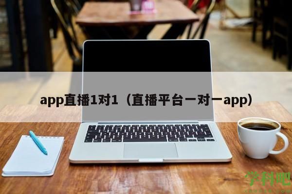 app直播1对1（直播平台一对一app）