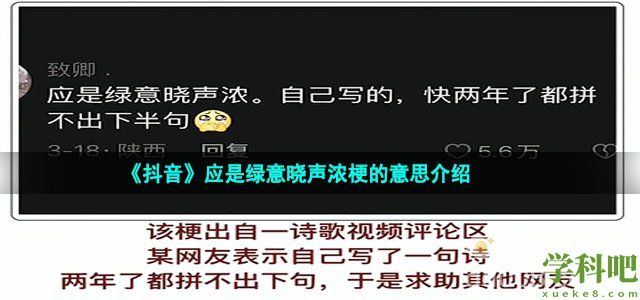 抖音应是绿意晓声浓梗是什么意思