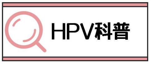 hpv是什么病(hpv是什么病毒一般是怎么引起的)