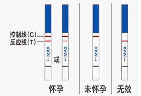 不用试纸(不用试纸最快自查怀孕)