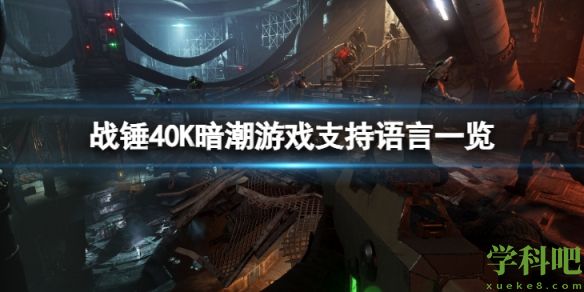 战锤40K暗潮有中文吗