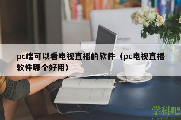 pc端可以看电视直播的软件（pc电视直播软件哪个好用）