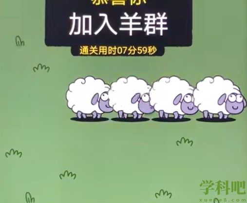 羊了个羊10.19关卡攻略超详细