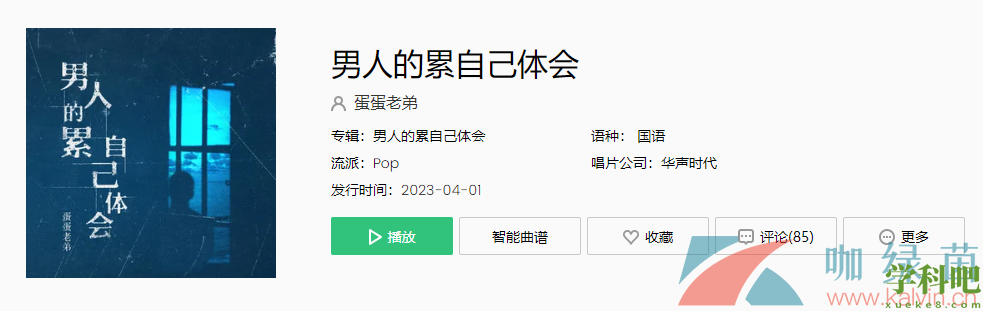 抖音谁又能明白他的孤独他的痛苦是什么歌-男人的累自己体会歌词分享