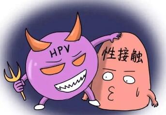 hpv是什么病