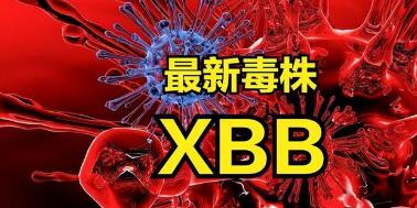 xbb毒株感染症状