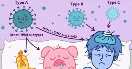 甲流和新冠症状上有哪些区别(甲流和新冠哪个严重)