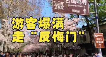 鸡鸣寺游客爆满设反悔门引导离寺(鸡鸣寺怎么了)