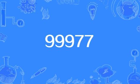 99977的含义是什么意思(999977的含义是什么意思)