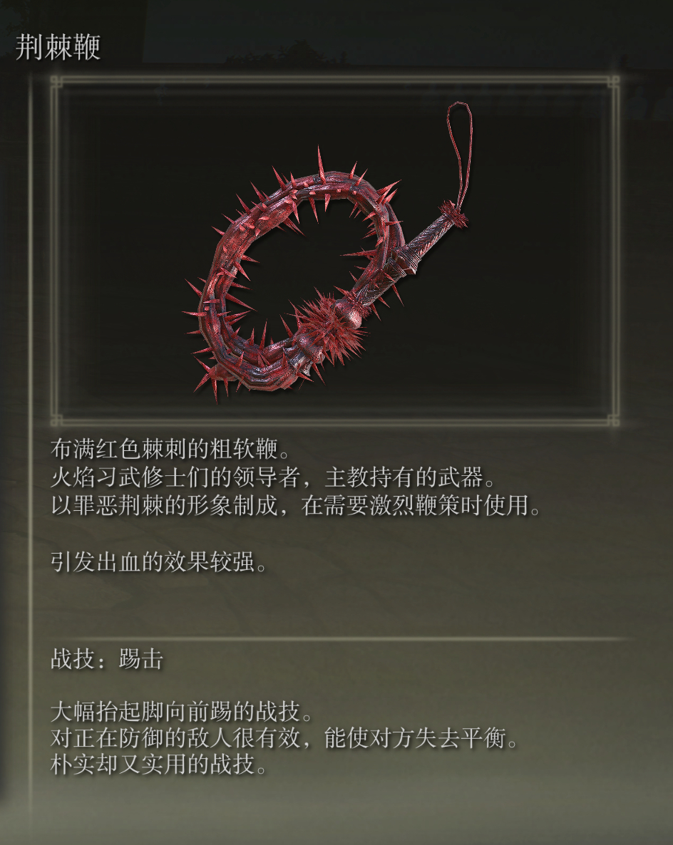 艾尔登法环荆棘鞭武器有什么特点(艾尔登法环法师武器)