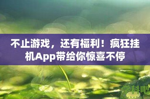 不止游戏，还有福利！疯狂挂机App带给你惊喜不停