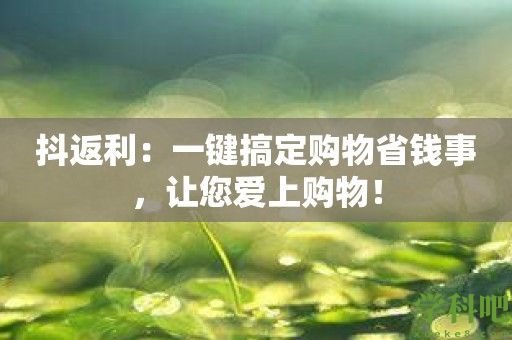 抖返利：一键搞定购物省钱事，让您爱上购物！