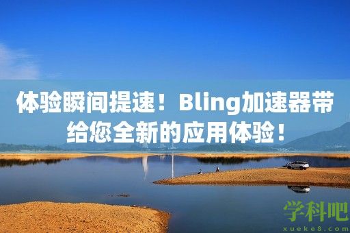 体验瞬间提速！Bling加速器带给您全新的应用体验！