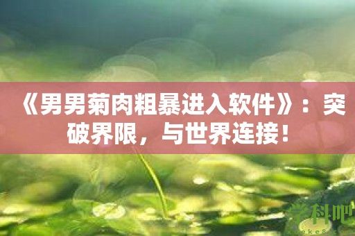 《男男菊肉粗暴进入软件》：突破界限，与世界连接！