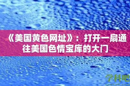 《美国黄色网址》：打开一扇通往美国**宝库的大门