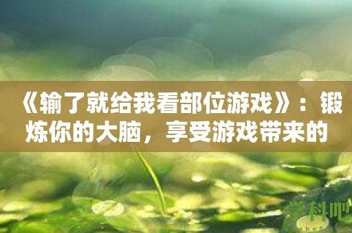 《输了就给我看部位游戏》：锻炼你的大脑，享受游戏带来的乐趣！