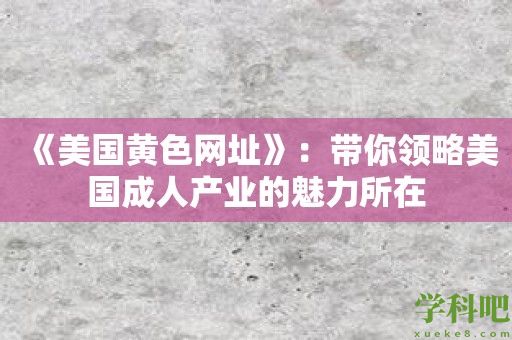 《美国黄色网址》：带你领略美国成人产业的魅力所在