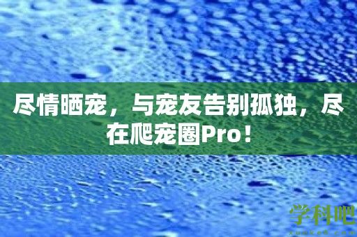 尽情晒宠，与宠友告别孤独，尽在爬宠圈Pro！