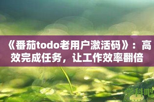 《番茄todo老用户激活码》：高效完成任务，让工作效率翻倍