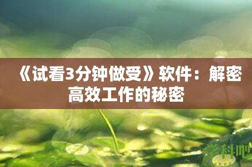 《试看3分钟做受》软件：解密高效工作的秘密