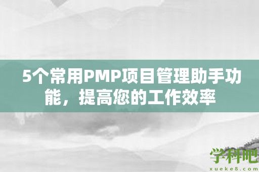 5个常用PMP项目管理助手功能，提高您的工作效率