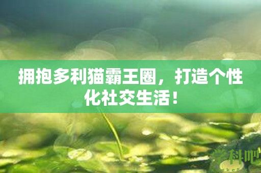 拥抱多利猫霸王圈，打造个性化社交生活！