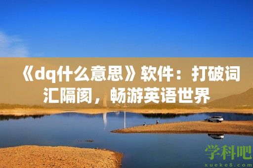 《dq什么意思》软件：打破词汇隔阂，畅游英语世界