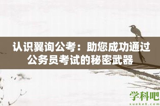 认识翼询公考：助您成功通过公务员考试的秘密武器