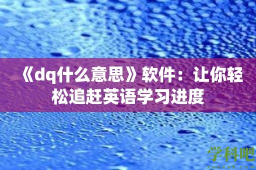 《dq什么意思》软件：让你轻松追赶英语学习进度