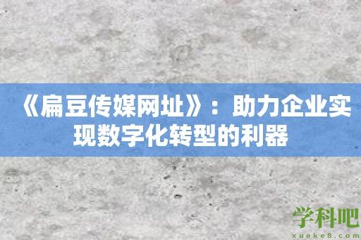 《扁豆传媒网址》：助力企业实现数字化转型的利器