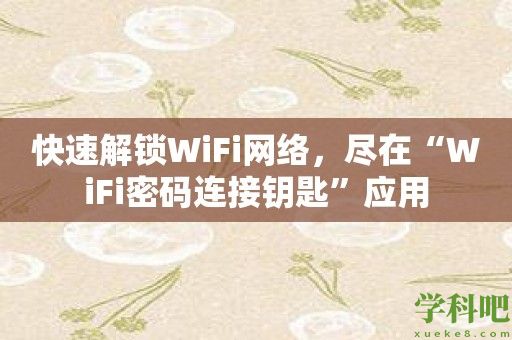 快速解锁WiFi网络，尽在“WiFi密码连接钥匙”应用