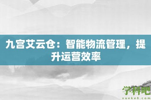 九宫艾云仓：智能物流管理，提升运营效率