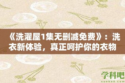 《洗濯屋1集无删减免费》：洗衣新体验，真正呵护你的衣物！