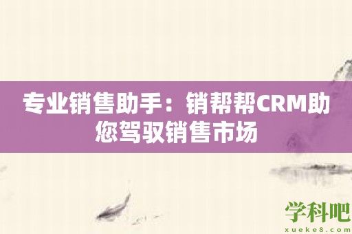 专业销售助手：销帮帮CRM助您驾驭销售市场