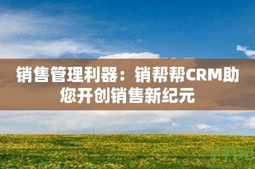 销售管理利器：销帮帮CRM助您开创销售新纪元