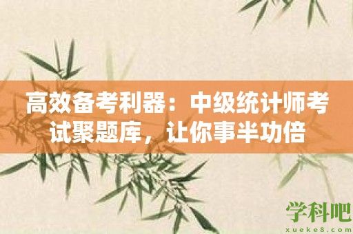 高效备考利器：中级统计师考试聚题库，让你事半功倍