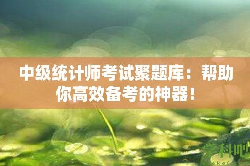 中级统计师考试聚题库：帮助你高效备考的神器！