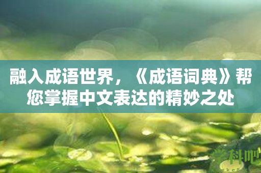 融入成语世界，《成语词典》帮您掌握中文表达的精妙之处