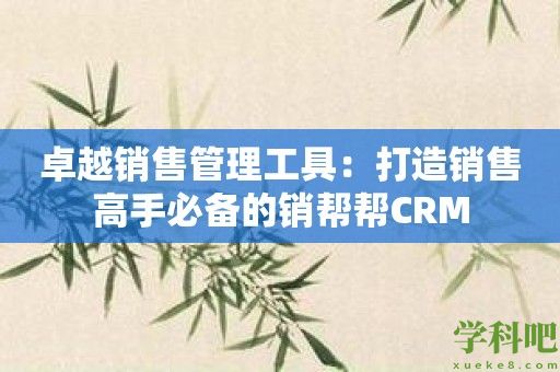 卓越销售管理工具：打造销售高手必备的销帮帮CRM