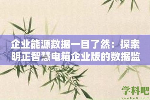 企业能源数据一目了然：探索明正智慧电箱企业版的数据监控功能