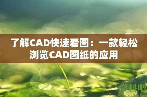 了解CAD快速看图：一款轻松浏览CAD图纸的应用