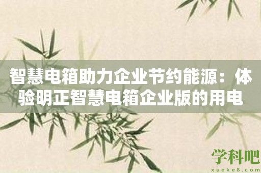 智慧电箱助力企业节约能源：体验明正智慧电箱企业版的用电优化能力