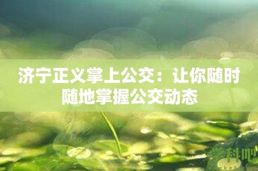 济宁正义掌上公交：让你随时随地掌握公交动态